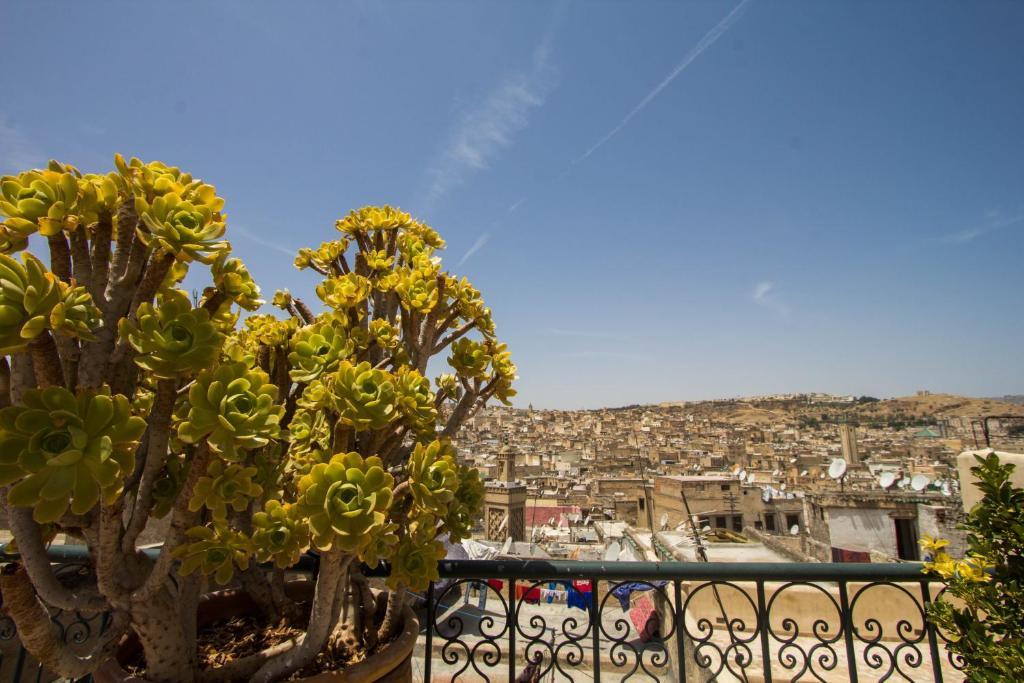 Riad La Source Bleue Fes Room photo